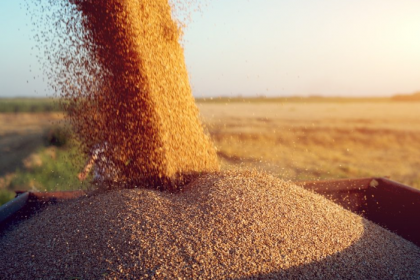 Україна та Румунія планують спільно розробити план для контролю експорту зерна