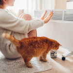 Як зберегти тепло в будинку