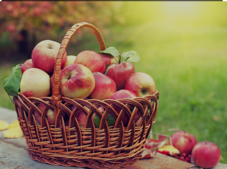 Як впливає щоденне споживання яблук на організм