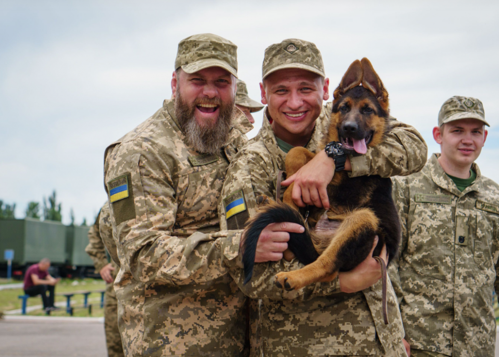 Серіал «Прикордонники»: історія створення, виклики та головні актори проєкту