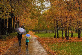 Прогноз погоди на листопад: до чого варто підготуватися українцям