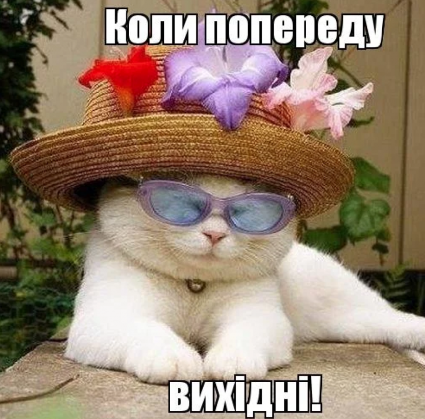 Меми про п'ятницю: коли тіло ще на роботі, а душа вже на вихідних