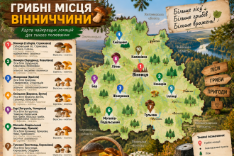 Найкращі грибні місця Вінниччини: конкретні села, міста та ліси